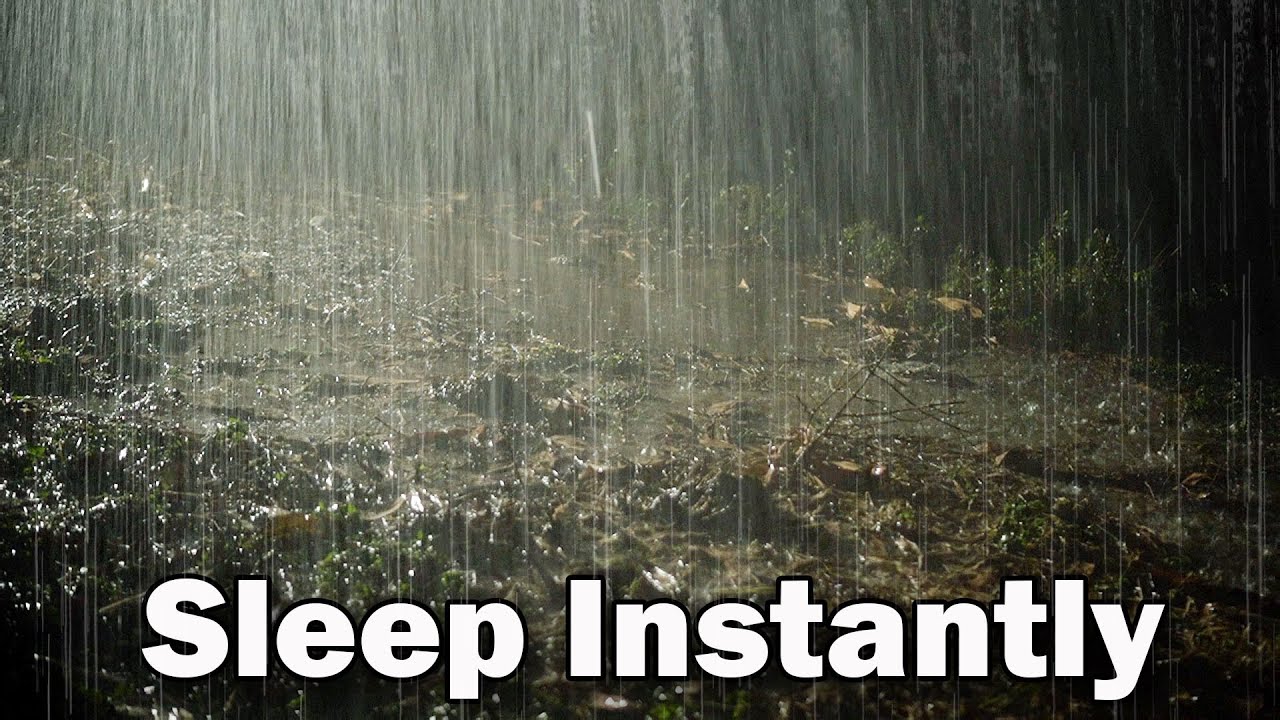 INSOMNIA Relief with Heavy Rain & Peaceful Thunder Sounds in Rainforest - Rain Sounds for Sleeping