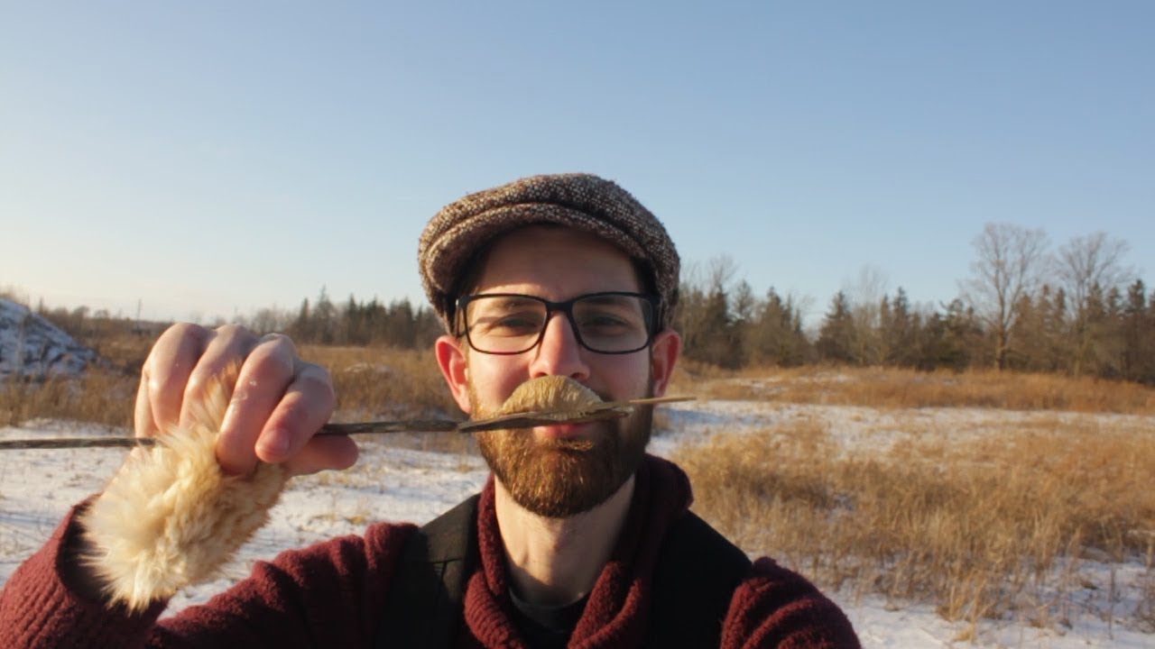 Finding an Ootheca in The Winter
