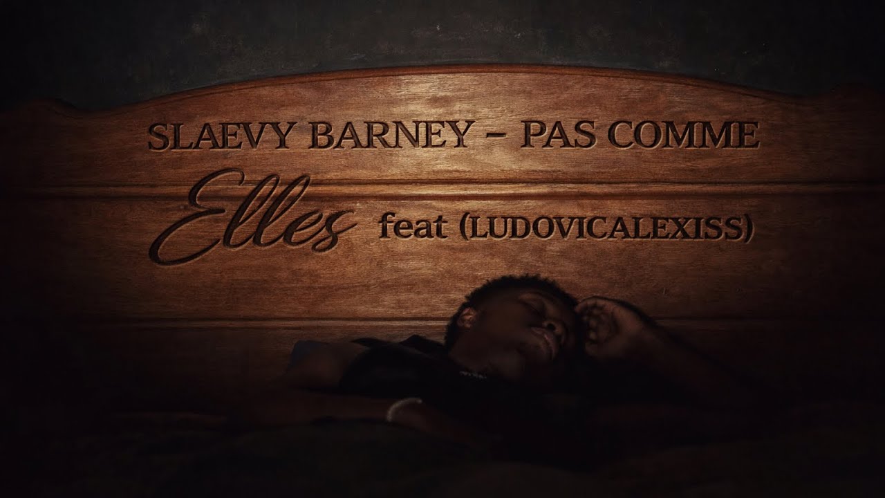 SLAEVY BARNEY - Pas comme elles feat (LUDOVICALEXISS)  Visualizer 