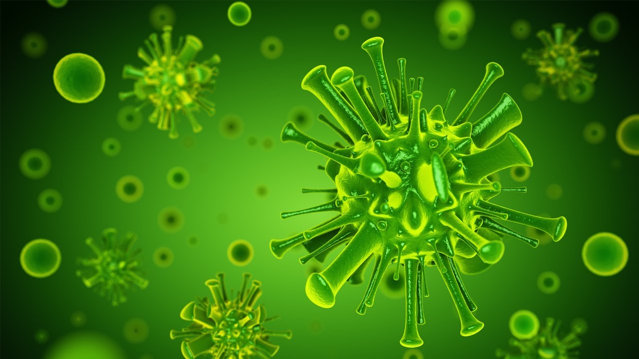 ¿Sabes cómo reacciona el cuerpo humano ante los virus del resfrío?