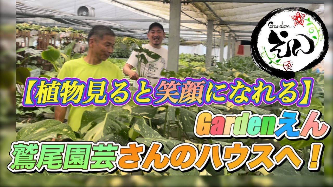【鷲尾園芸さん】Gardenえん観葉植物生産者さんのハウスへ行く！