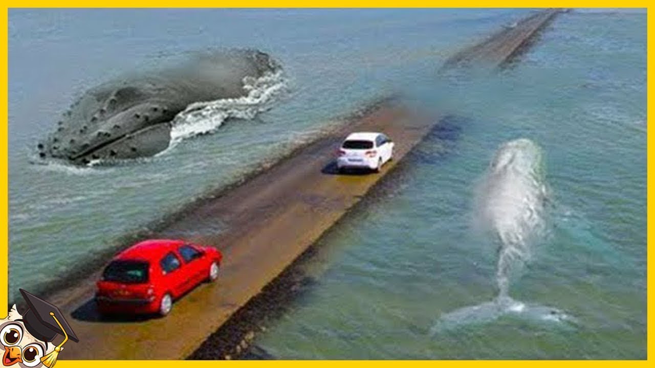 Las 25 Carreteras más Peligrosas del Mundo