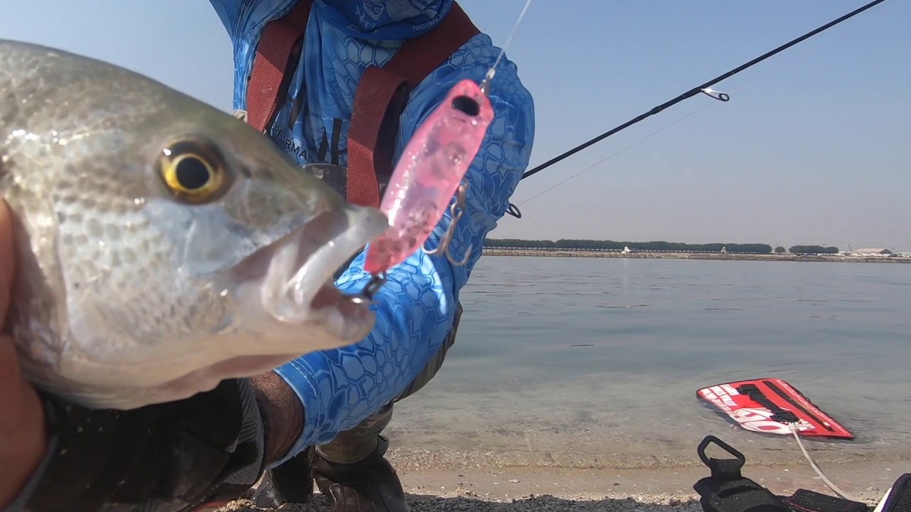Jackson Pygmy Box Popper
