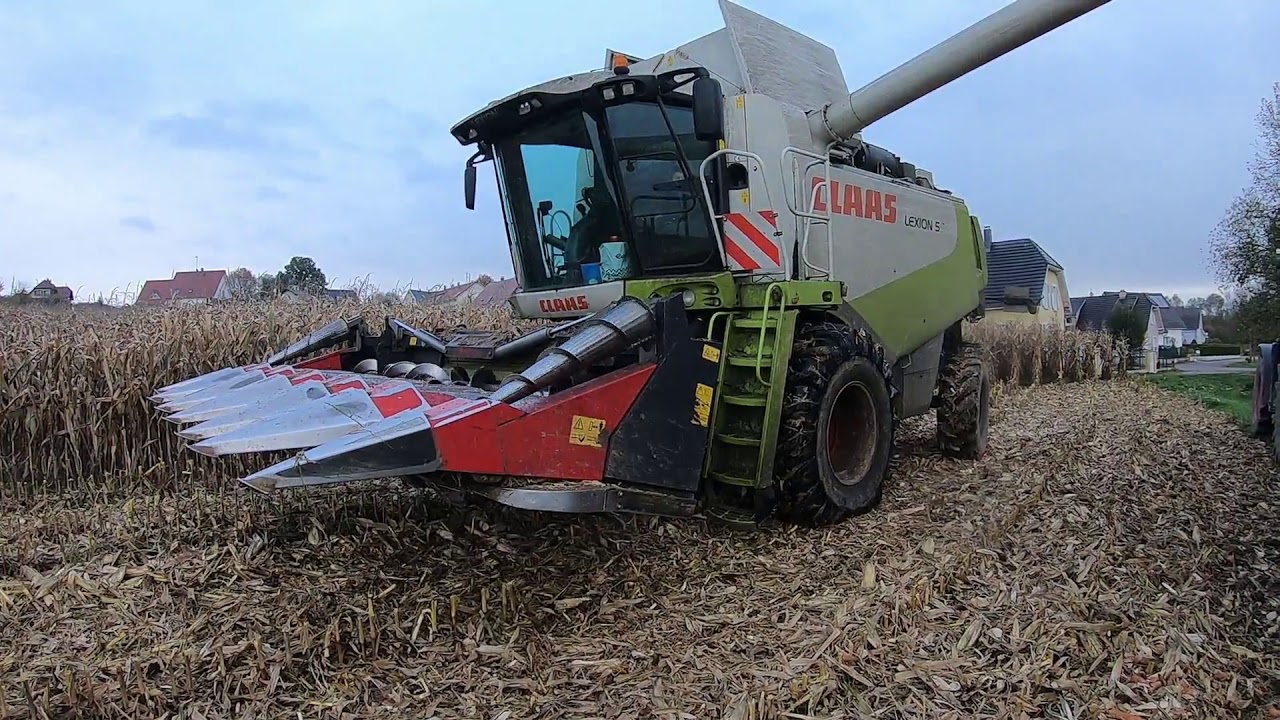 CORN HARVEST- Claas lexion 560 | Fendt 716 & Case Puma 130