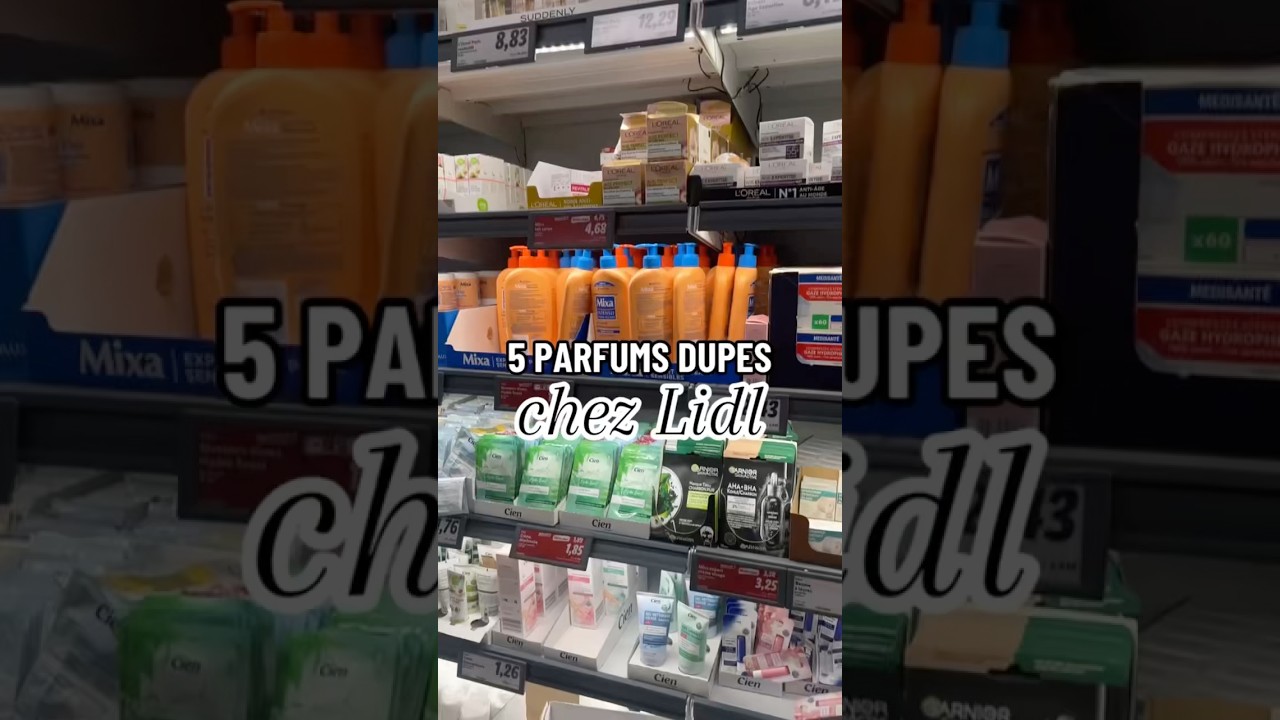 PARFUMS DUPES LIDL 💙