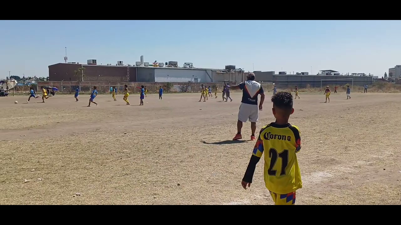 Pequeños campeones