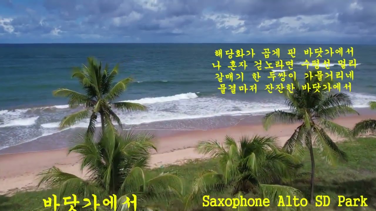 바다가에서