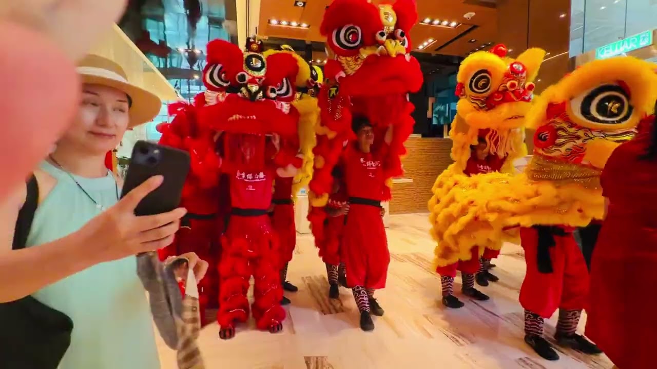 #蔡李佛南胜体育会 #2026 #年初七 #liondance #地青  《狮跃地青 · 五福临门》