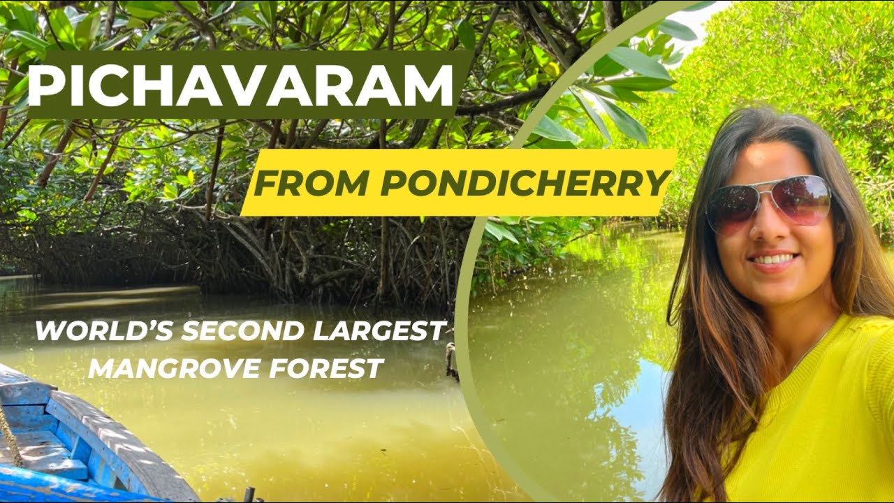 World’s Second Largest Pichavaram Mangrove Forest from Pondicherry Travel Guide | By Heena Bhatia