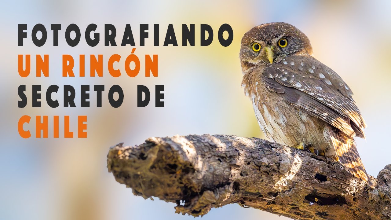 Fotografia De Naturaleza en un rincón secreto de CHILE
