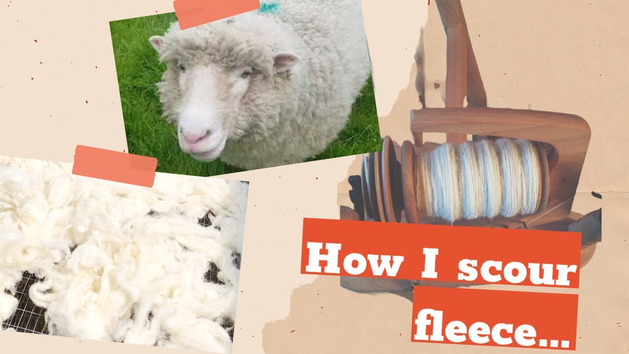 Fleece to Yarn Part 1 - Washing and scouring fleece on the farm