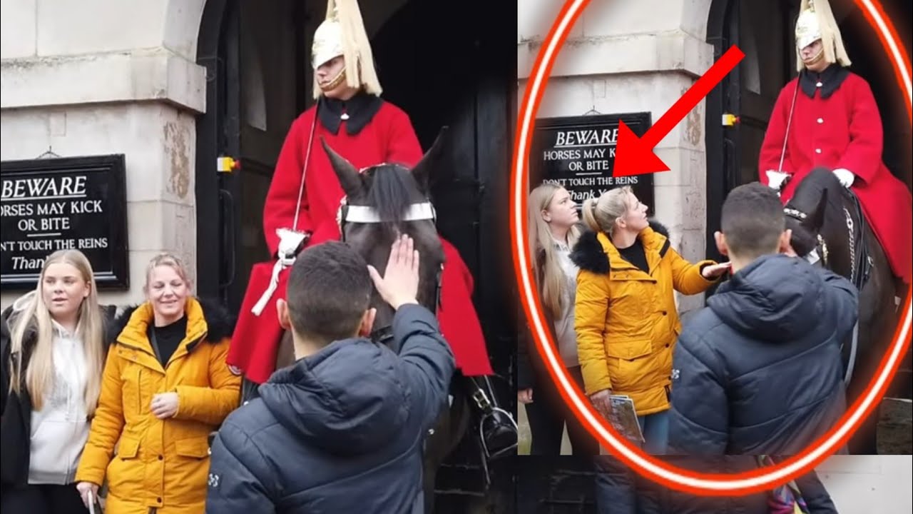 Beautiful Moment, At Least Someone Asked The Guard To Hold His Horse❤️