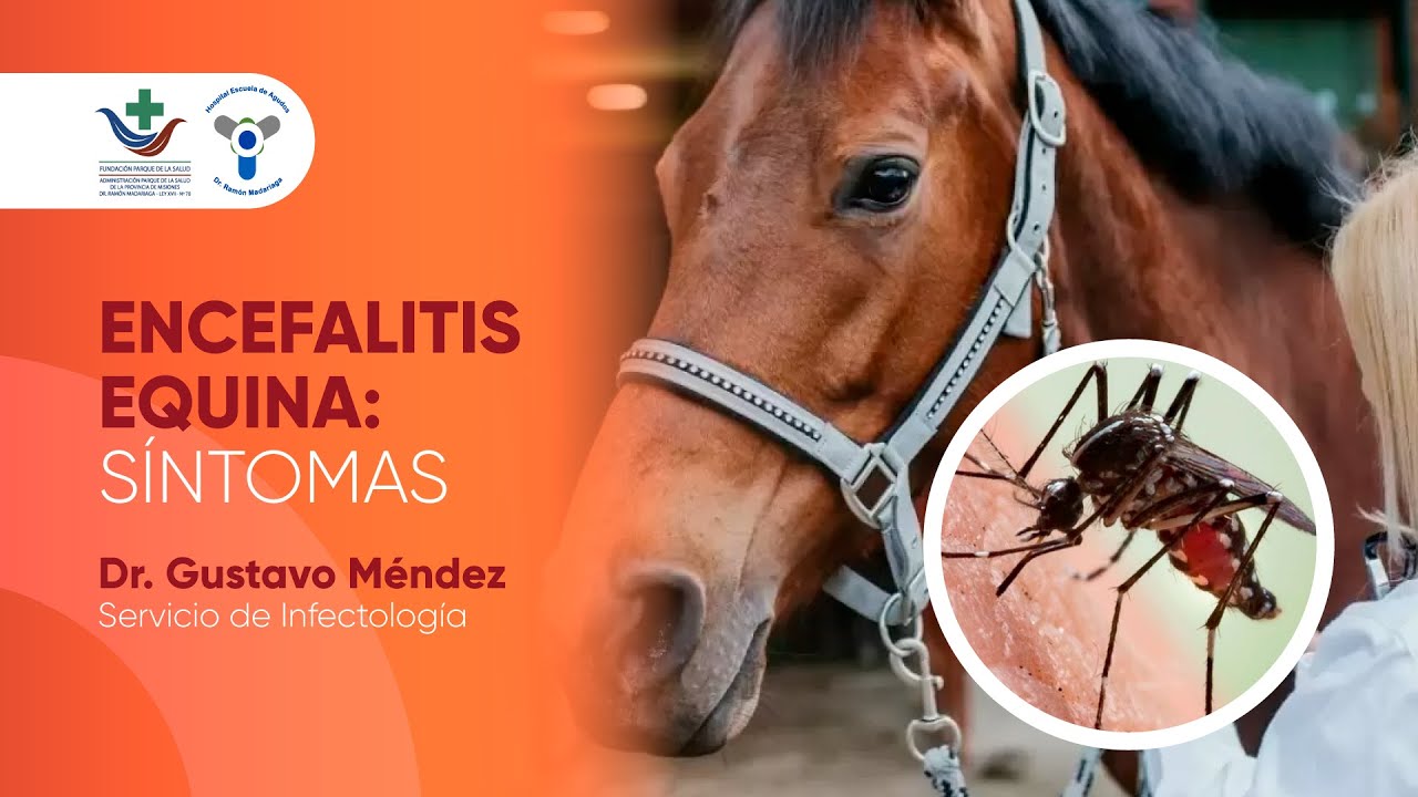 Dr. Gustavo Méndez - Encefalitis Equina: Síntomas