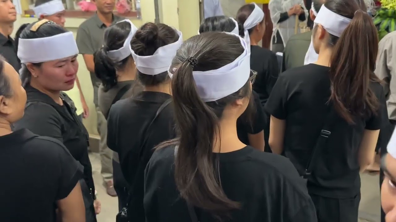 Tú hường 2k15