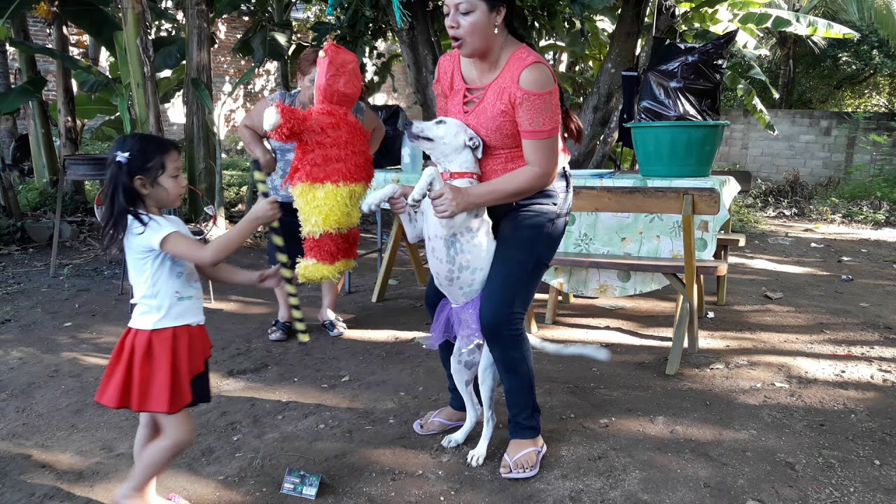 Hora de Reventar la Piñata de Shonchi //Feliz Cumpleaños #2🎉🎈🐶 El salvador 4x4