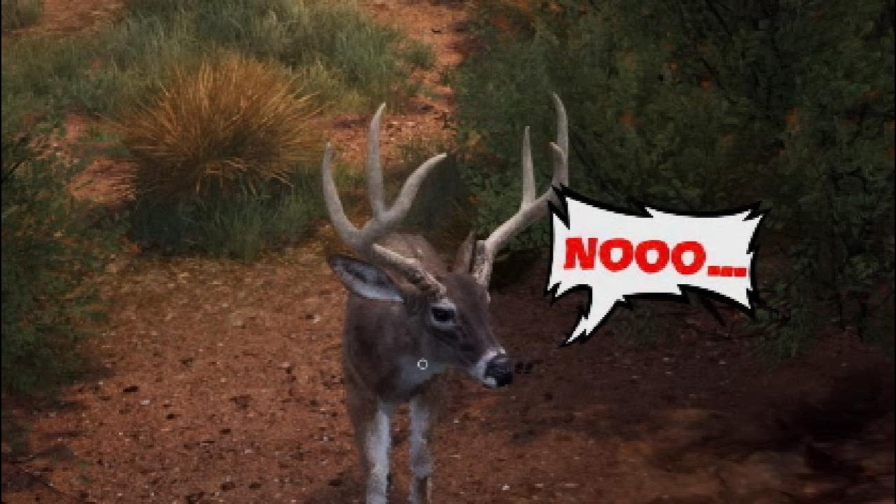 Killing Whatever I Come Across | Hunting Simulator 2