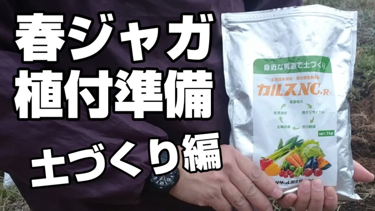 【春じゃがいも】失敗しないための植え付け準備！！！　【カルスで土づくり】編　土づくりのポイント解説！キタアカリ、きたかむい、家庭菜園や農園でじゃがいも栽培【ジャガイモ育て方】