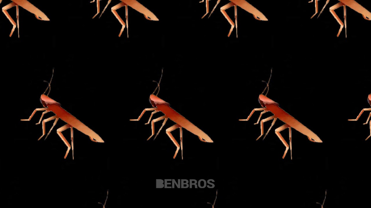 Dancing Cockroach Squad