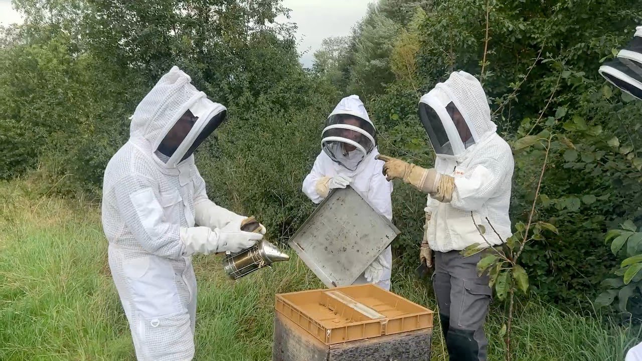 Keeping Up With The Bees in Fleurie, France