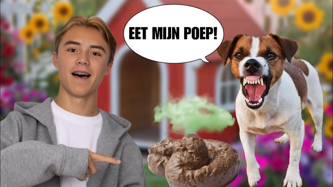 EEN HOND BEPAALT MIJN DAG!🐶 