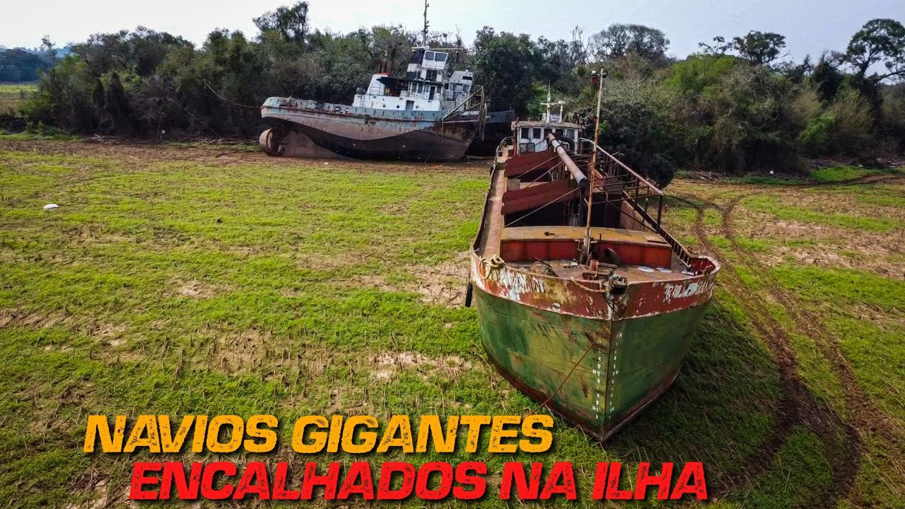 VEJA ESSES GIGANTES QUE APARECERAM NESTA ILHA DEPOIS DA GRANDE ENCHENTE
