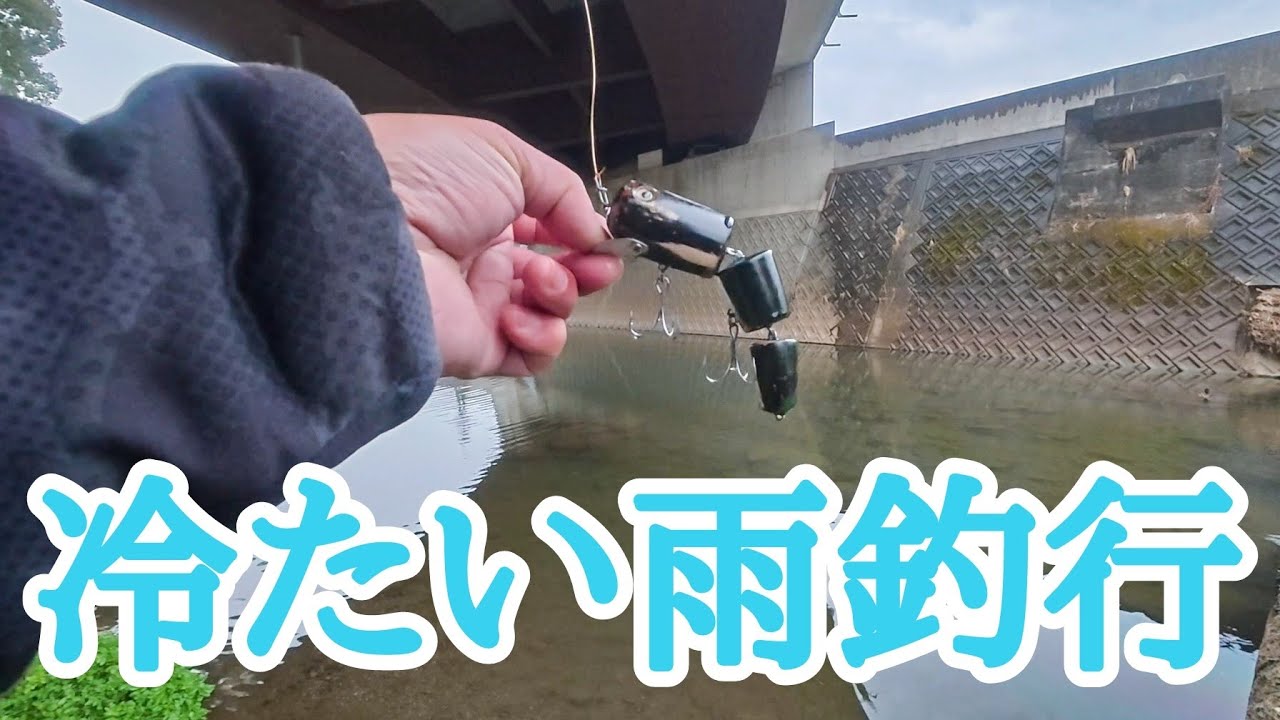 ２月の冷たい雨の中ちょっと投げて来たよって話 【River fishing in Japan】