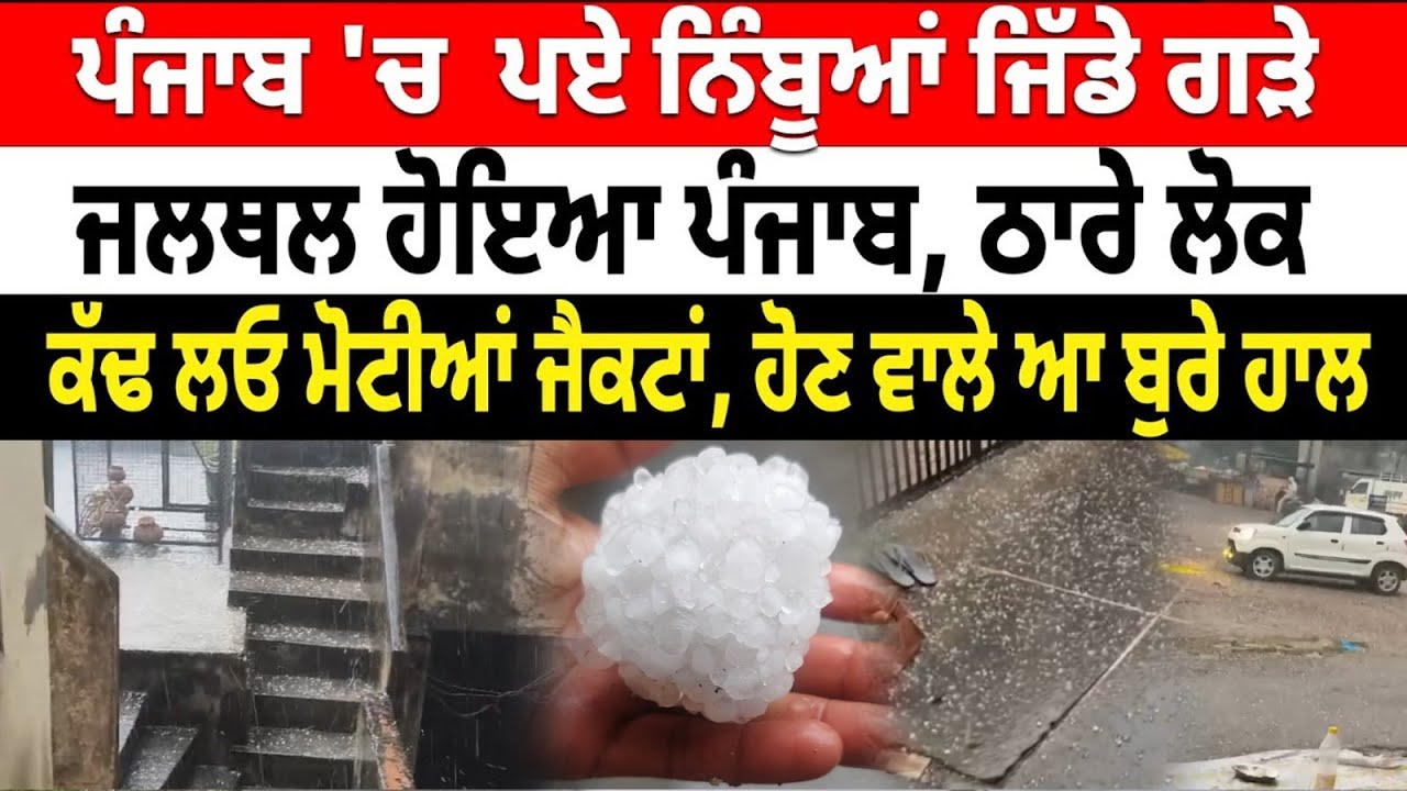 Weather News Live: Punjab 'ਚ  ਪਏ ਨਿੰਬੂਆਂ ਜਿੱਡੇ ਗੜੇ ! ਜਲਥਲ ਹੋਇਆ ਪੰਜਾਬ, ਠਾਰੇ ਲੋਕ