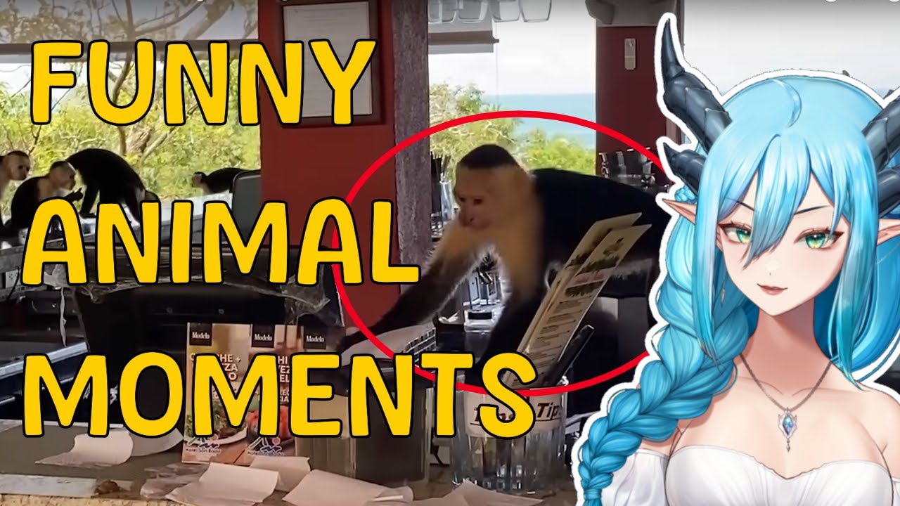 Dogs are so cute. Dragonspit Reacts: Funny animal moments.