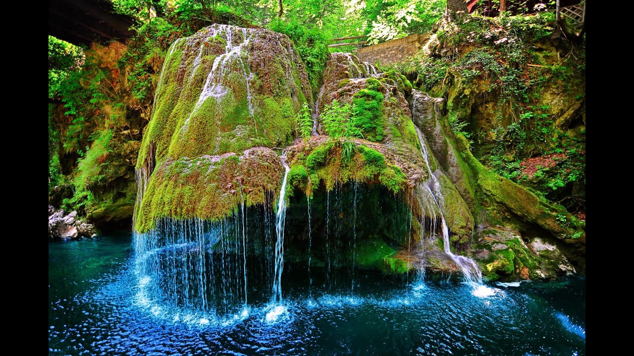 Sleep With Nature   SLEEP | NATURE | MEDITATION