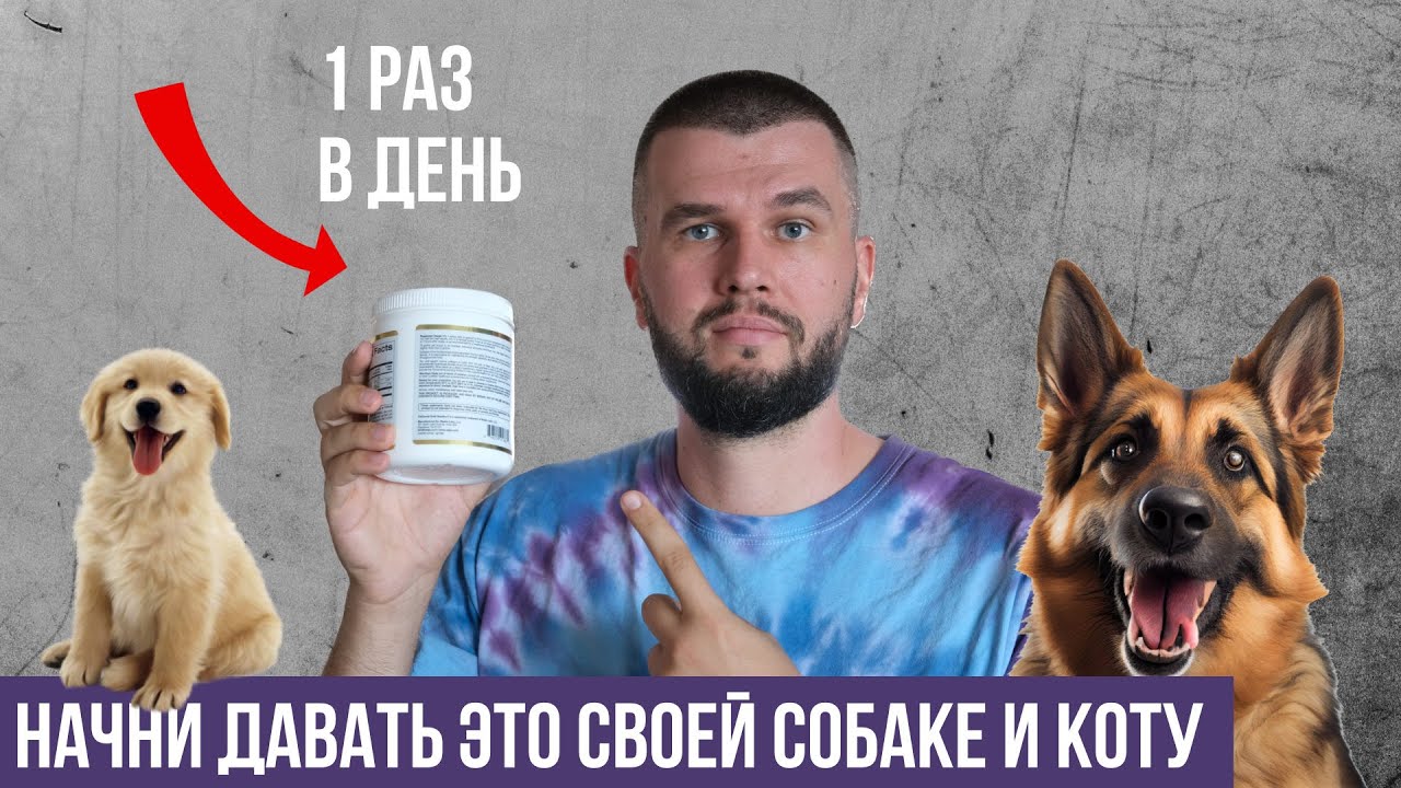 Добавка для собак увеличивающая продолжительность и качество жизни