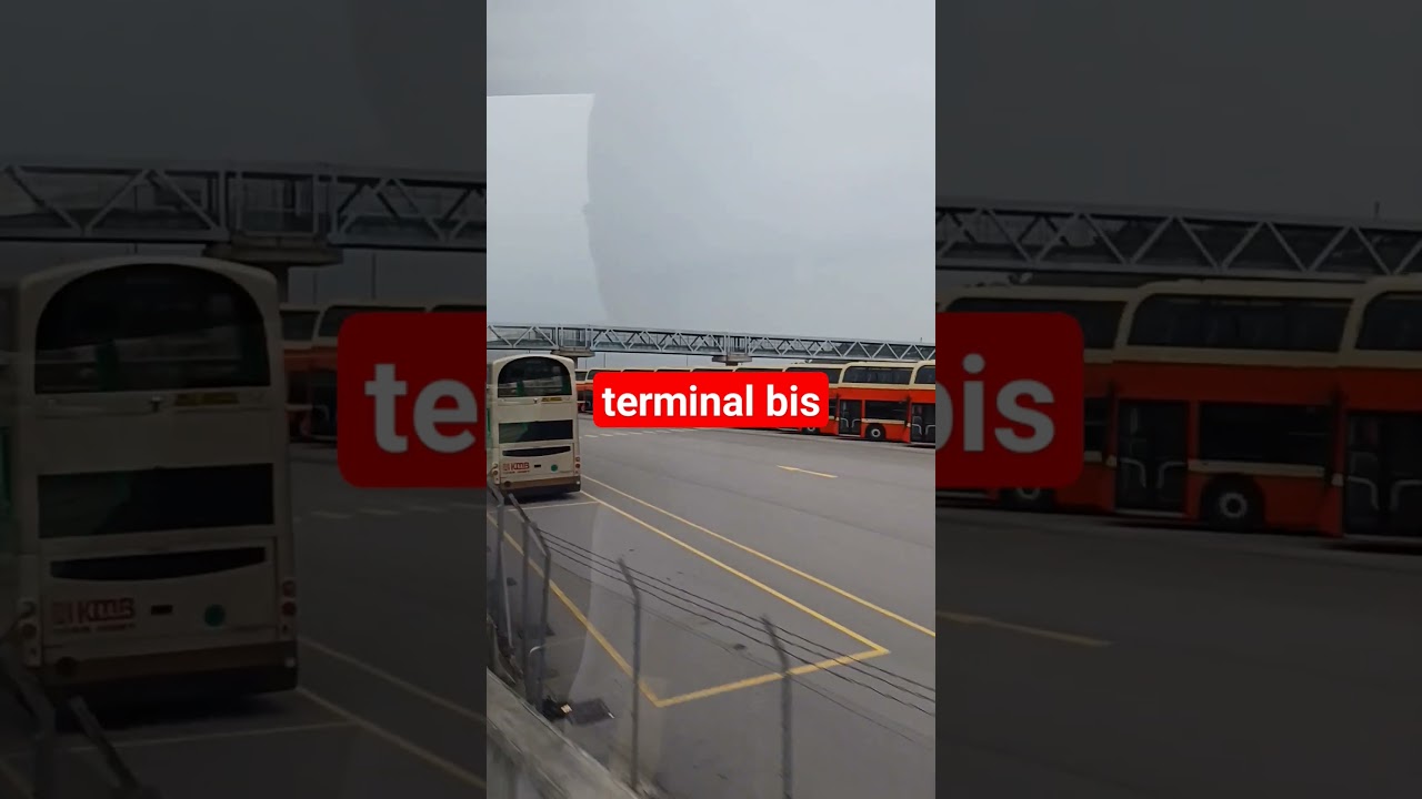 Terminal bis #shorts #sobatchannel #terminalbus