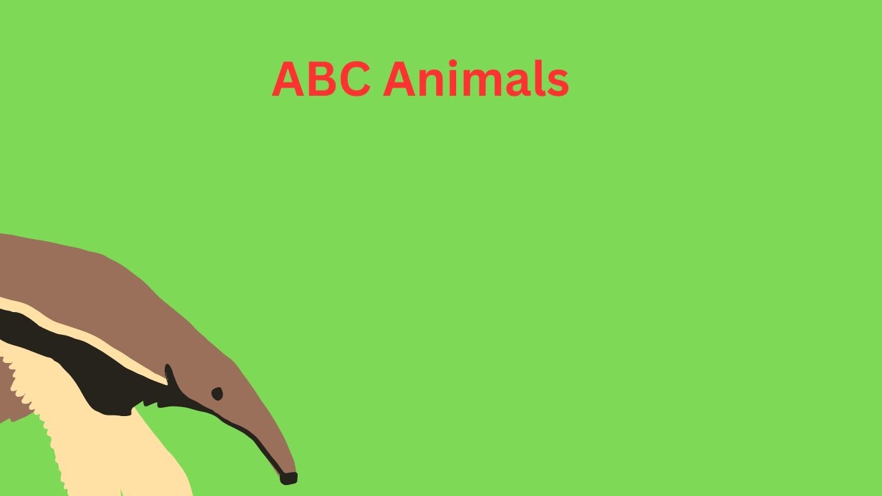 ABC ANIMALS
