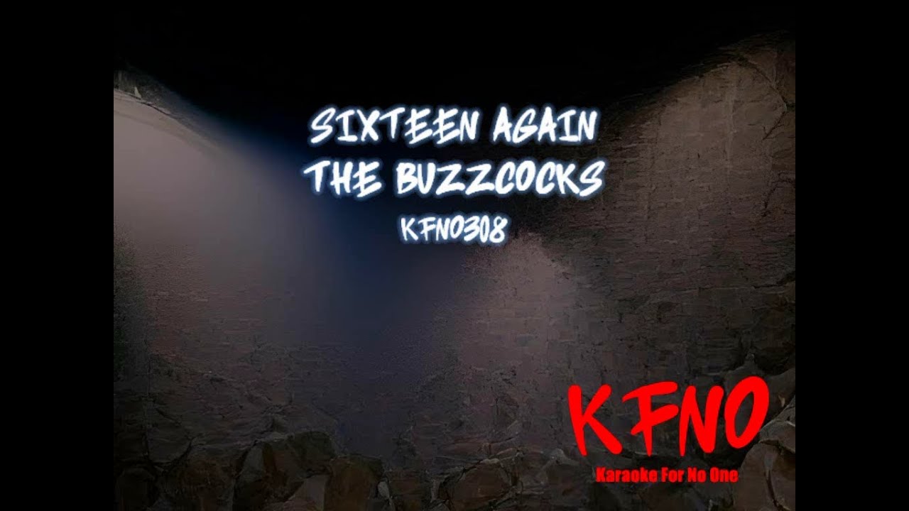 The Buzzcocks - Sixteen Again (karaoke)