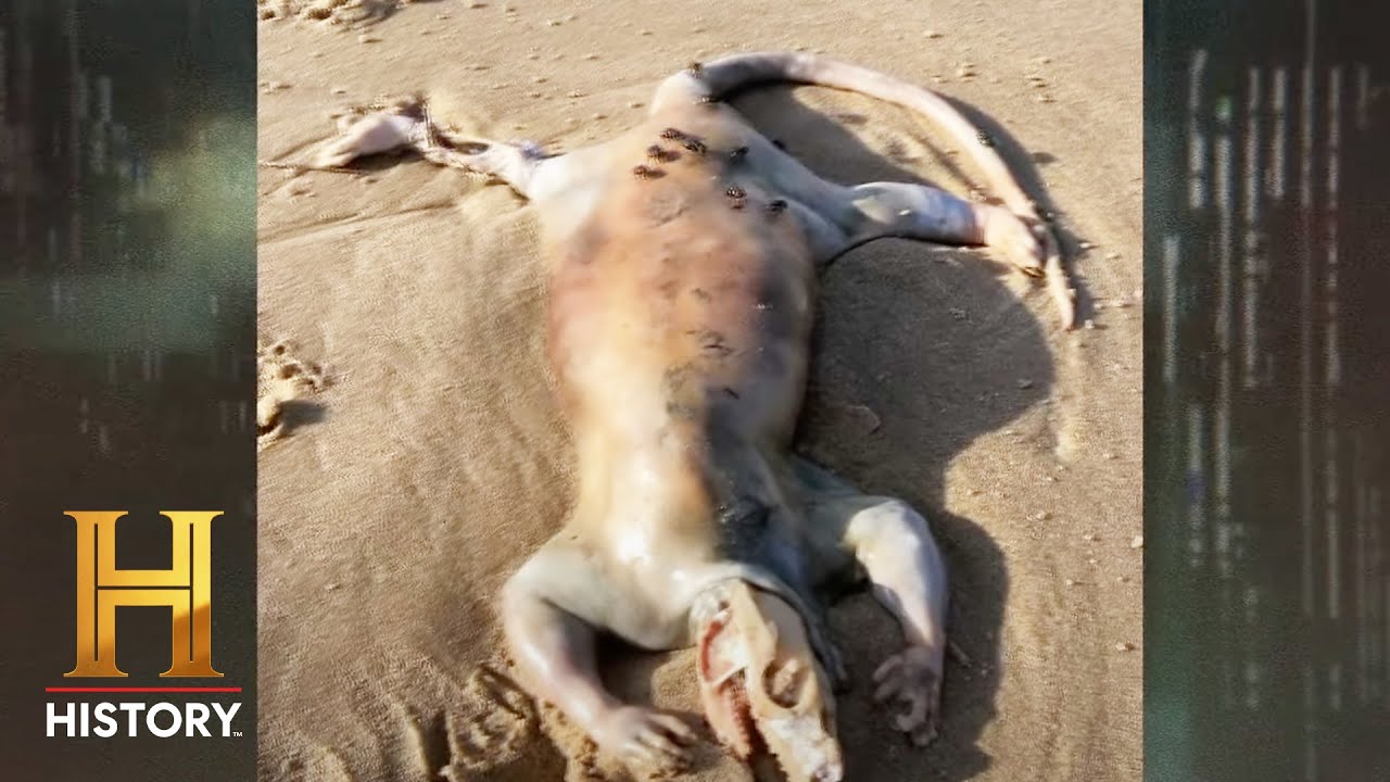 The Proof Is Out There: Alien Corpse Washes Up on Australian Beach (Season 4) | History