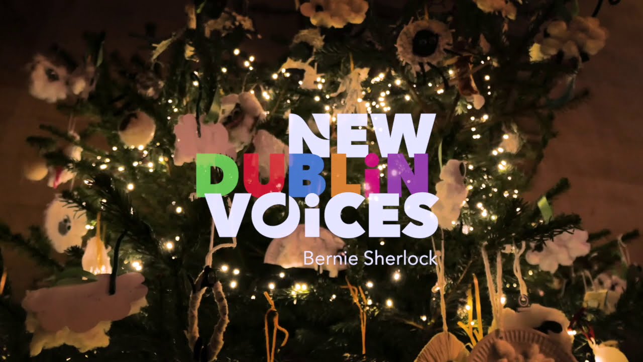 New Dublin Voices - 