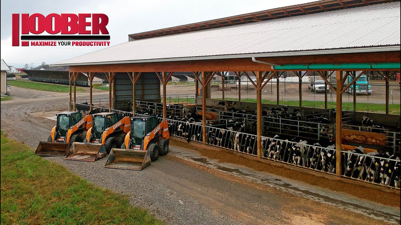Dream Farms Case SR210 Skidsteers On Dairy Farm