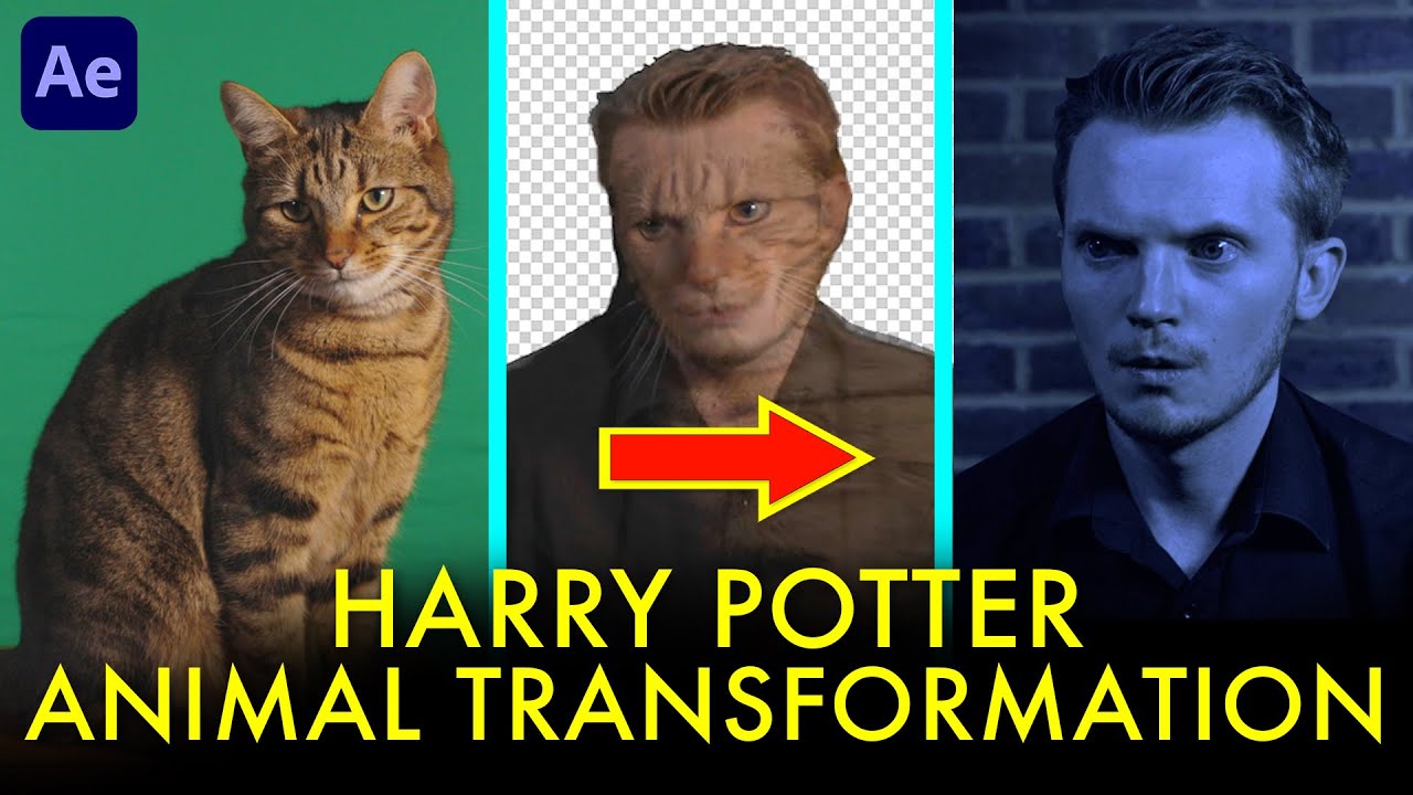 Гарри Поттер ПРЕОБРАЗОВАНИЕ ЖИВОТНЫХ для After Effects