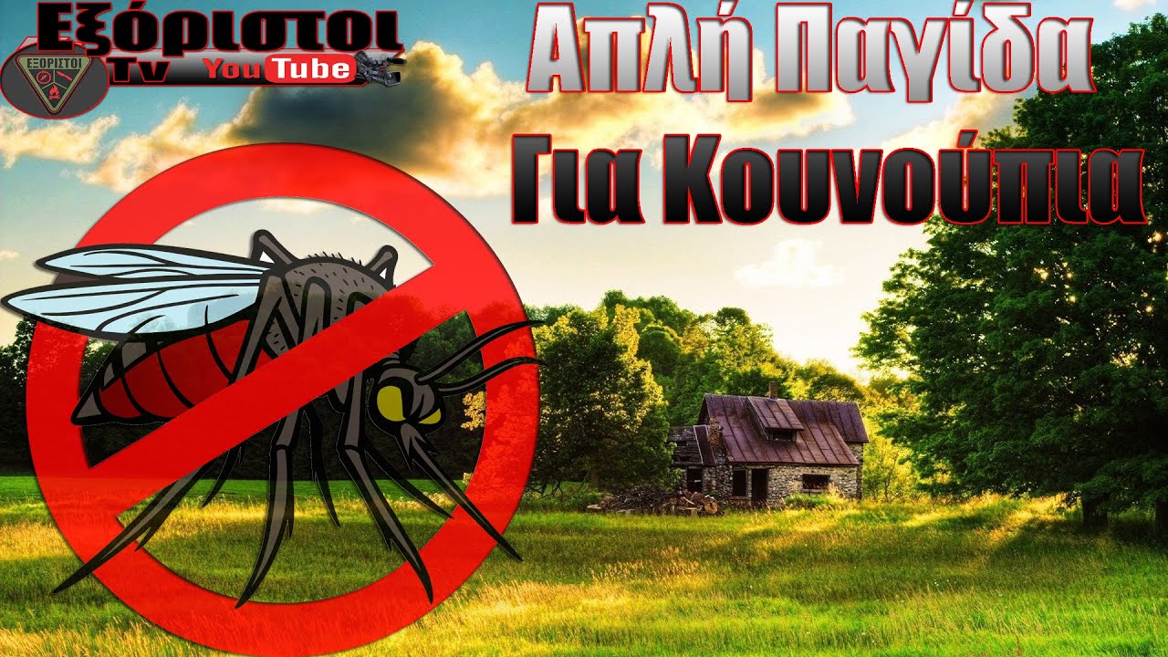 Παγίδα για κουνούπια