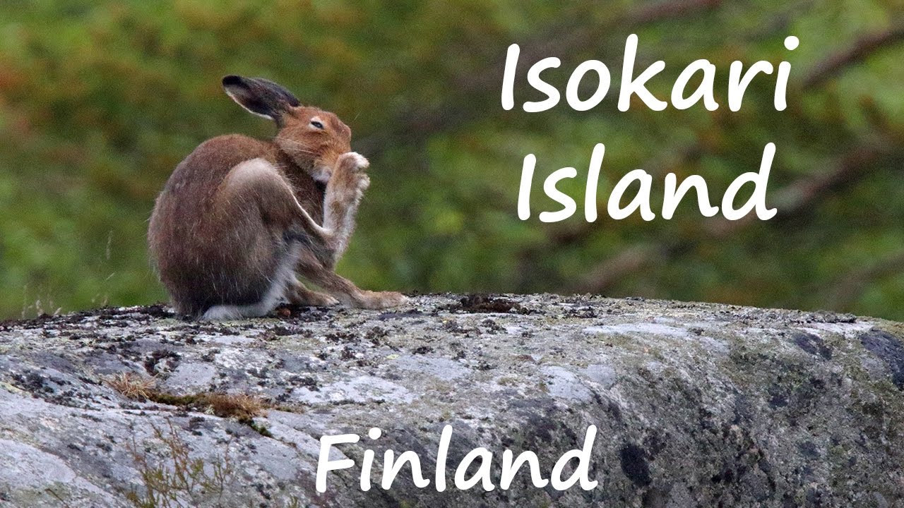 Baltic sailing #6 - Isokari island, the gate to The Gulf of Bothnia, Finland