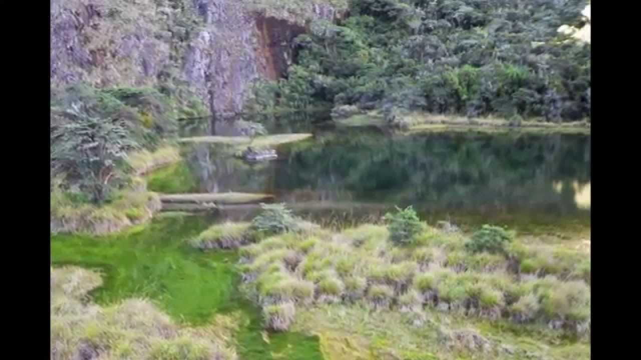 laguna la coromoto Merida venezuela