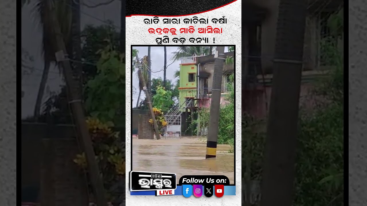 ପୁଣି ସାଳନ୍ଦୀ ନଦୀରେ ବଢ଼ିଲା ଜଳସ୍ତର....#Bhadrak #Flood #shorts #odishabhaskar