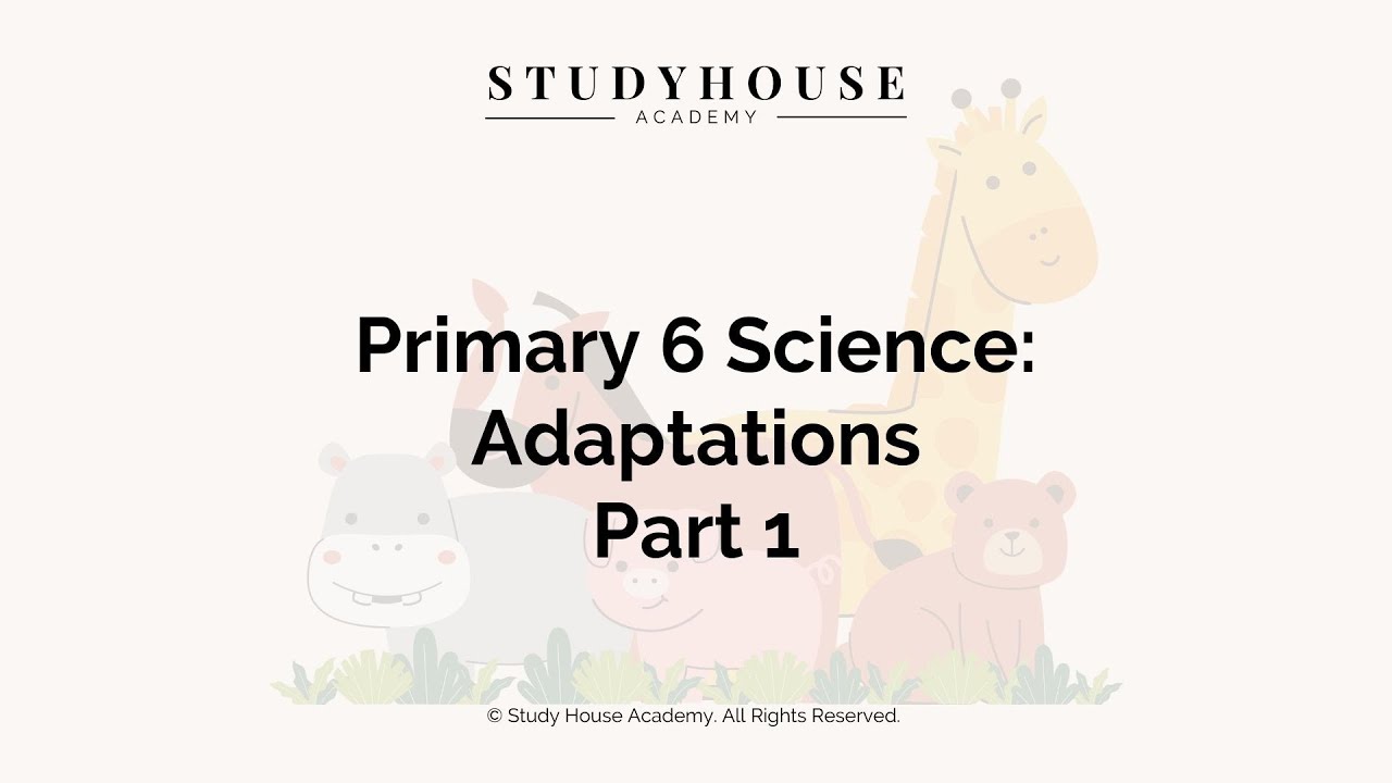 Adaptation (Part 1) | Primary 6 | Learn with Study House Academy