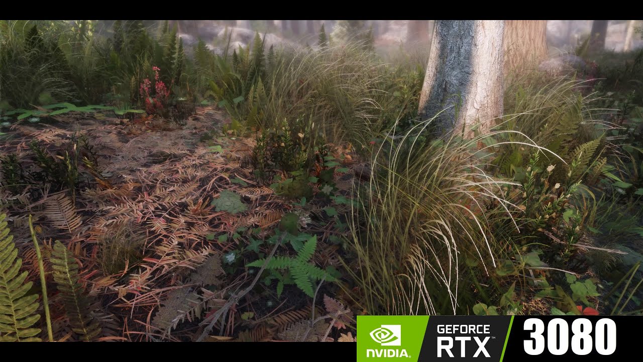 Skyrim SE 2021 RTX 3080 - Folkvangr & Northern Grass combined