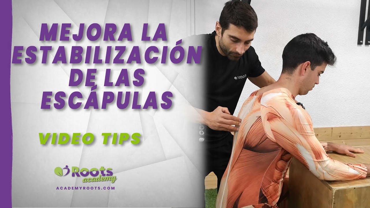 🎥 Mejora la estabilizaci&oacute;n de las esc&aacute;pulas - Roots videotips ✅