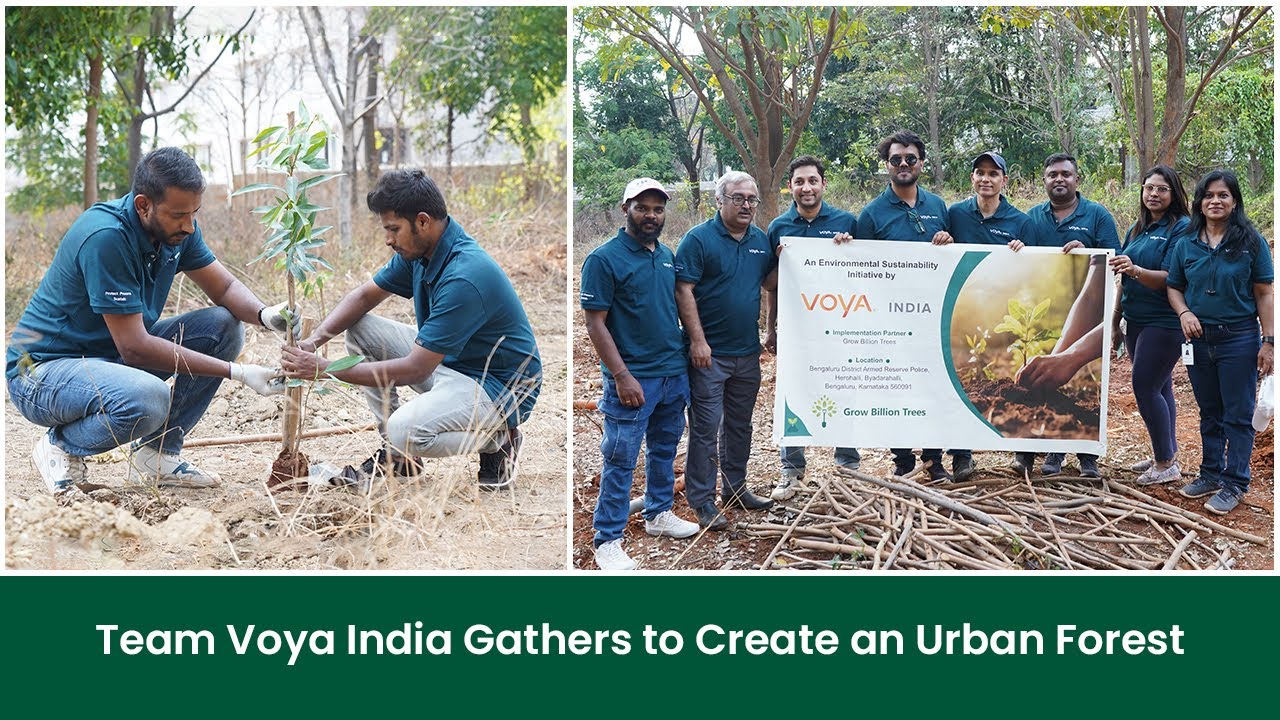 Why is Voya India Turning an Urban Land into A Forest? I Grow Billion Trees