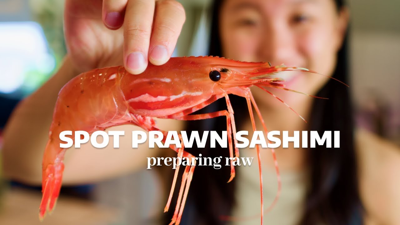 Large fresh spot prawn sashimi 🦐 preparing and eating amaebi at home 🍣