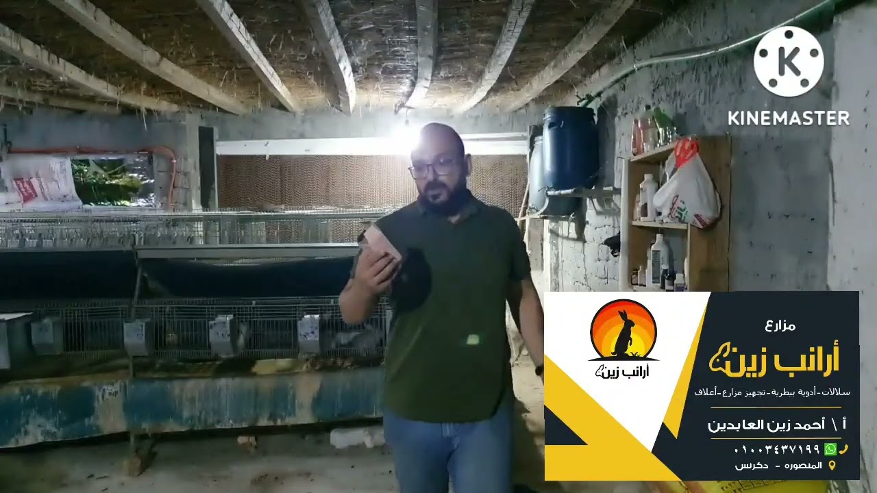 وفر فلوسك وعالج الجرب والحشرات  نهائى من اول استخدام للحجز 01555246448