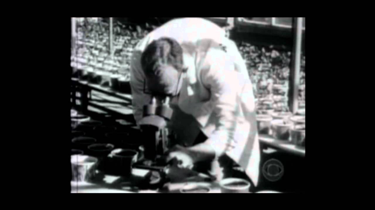 Rachel Carson Interview
