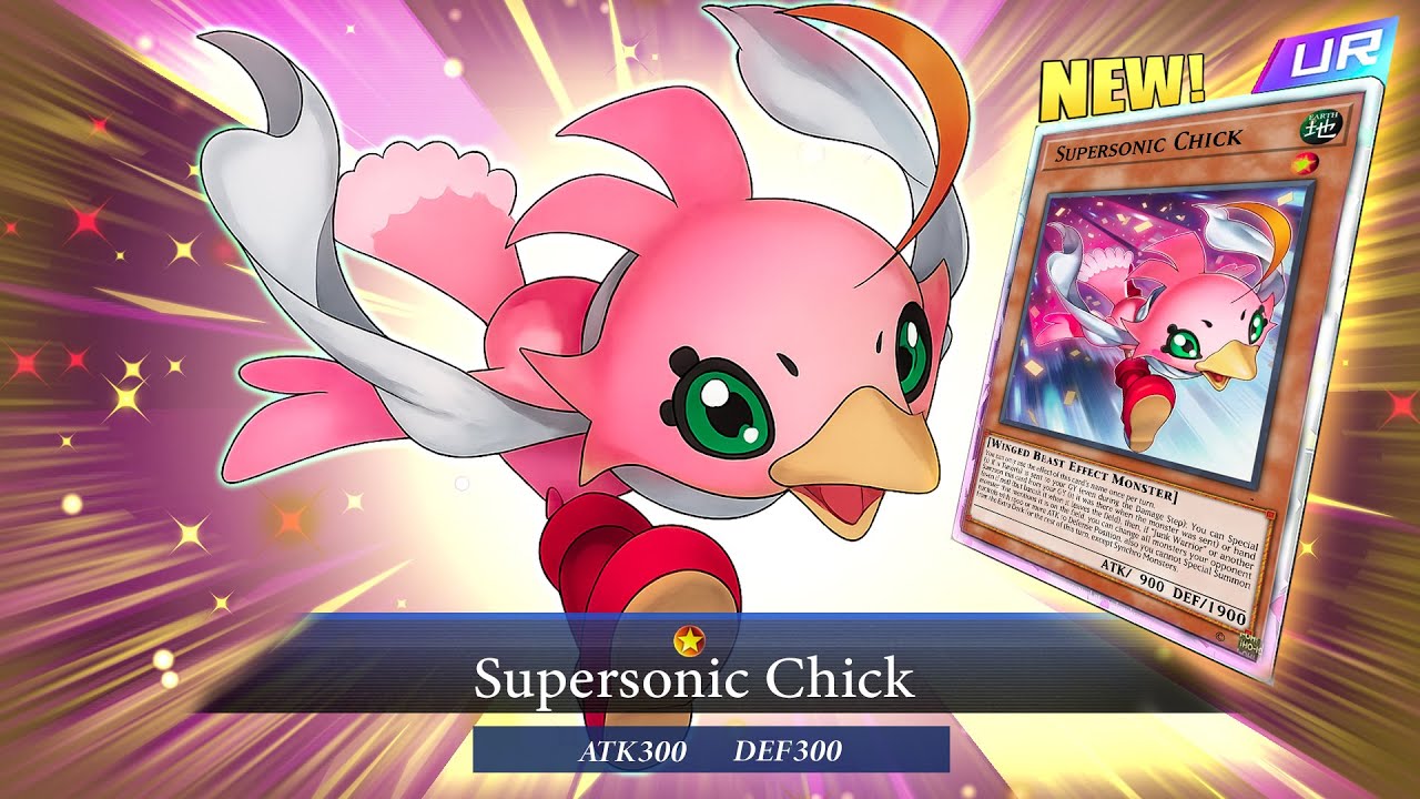 This NEW Junk Warrior Support Is WILD!! Supersonic Chick