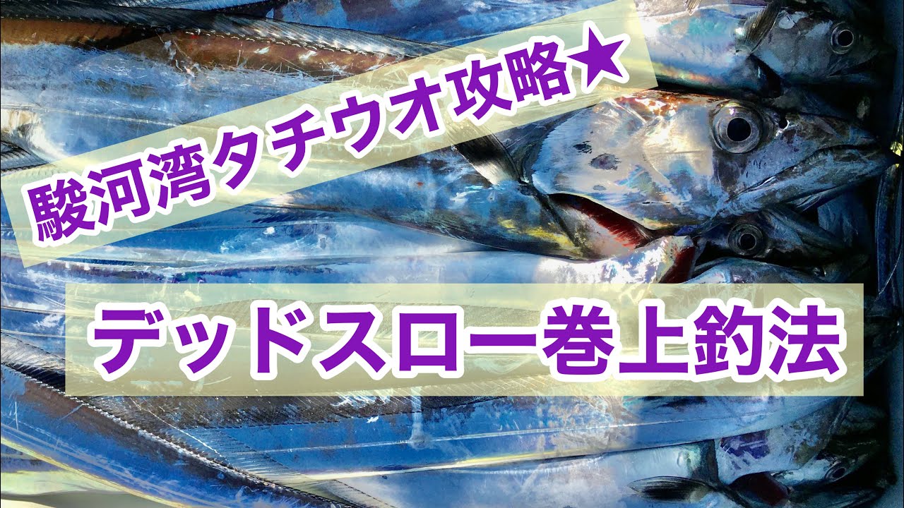 駿河湾タチウオ攻略☆デッドスロー巻上釣法